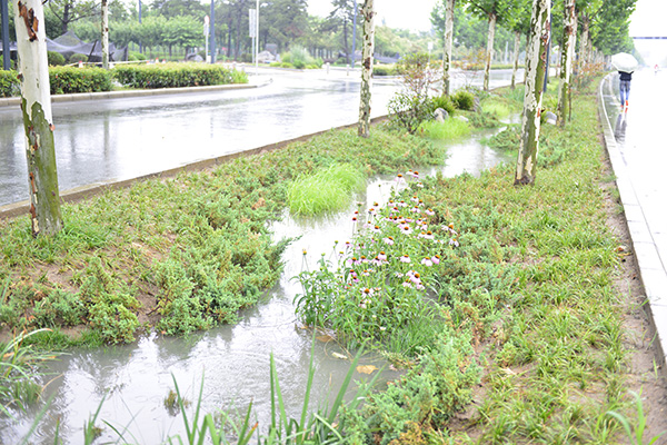 望谟县天气预报评测2