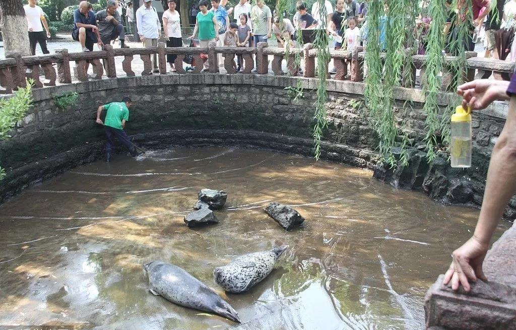 宁波天气2345介绍